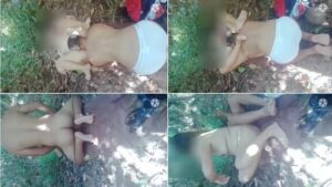 Bokep Indo Tetanggaku Jilmek Genjot Istriku Sendiri