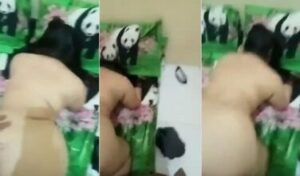 Bokep Indo Tanteku Main Ke Kosan Saat Gabut