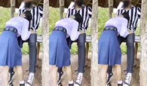 Bokep Indo Sore Sore Paling Enak Emang Cari Angin Tau