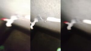 Bokep Hijab Abg Naila Tocil Colmek 6